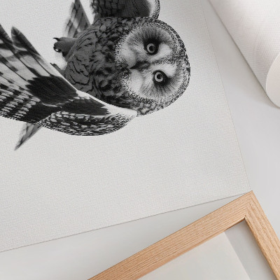 Poster mit Druckmotiv einer fliegenden Eule