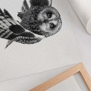 Poster mit Druckmotiv einer fliegenden Eule