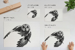Poster mit Druckmotiv einer fliegenden Eule