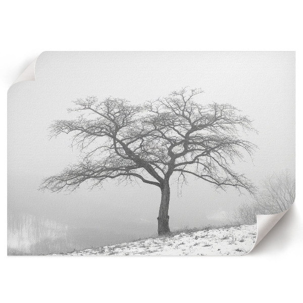 Wandposter mit Motiv eines Winterbaums