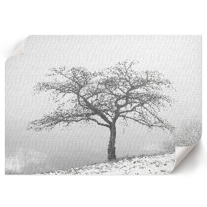 Wandposter mit Motiv eines Winterbaums