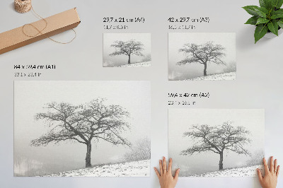 Wandposter mit Motiv eines Winterbaums