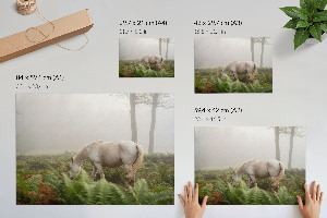 Plakat „Ein Pferd im Wald“