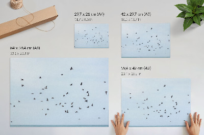 Plakat mit Motiv „Vögel im Flug”