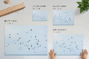 Plakat mit Motiv „Vögel im Flug”