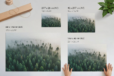 Poster mit Motiv eines geheimnisvollen Waldes