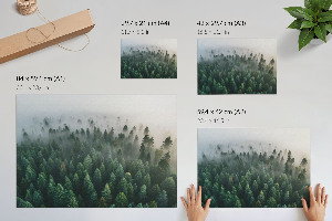 Poster mit Motiv eines geheimnisvollen Waldes