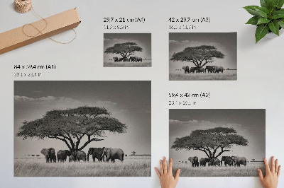 Plakat mit Motiv der afrikanischen Savanne