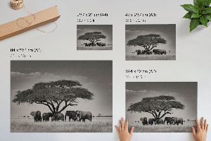 Plakat mit Motiv der afrikanischen Savanne