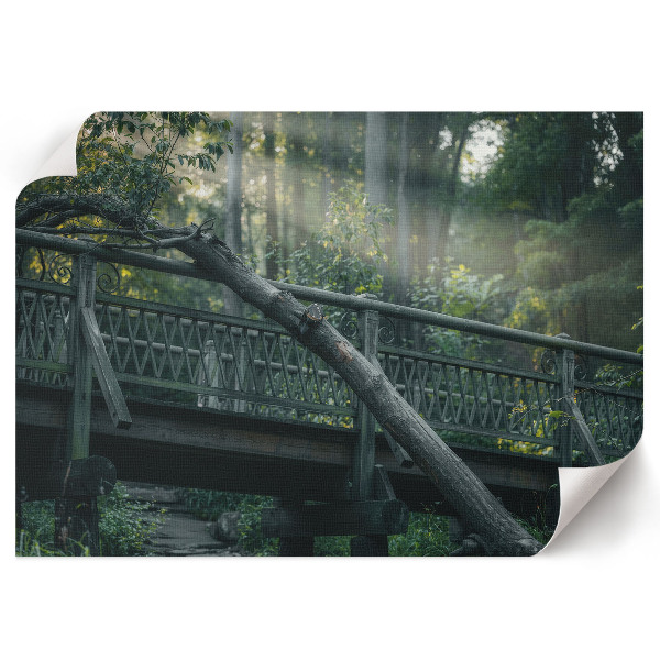 Poster mit Druckmotiv einer Waldbrücke