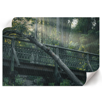 Poster mit Druckmotiv einer Waldbrücke