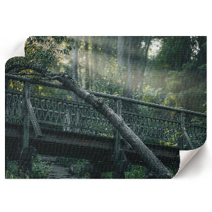 Poster mit Druckmotiv einer Waldbrücke