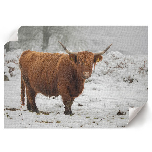 Poster mit Winterszene