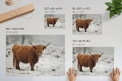 Poster mit Winterszene