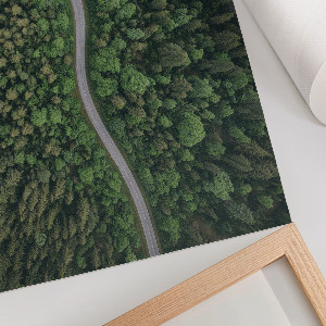 Wandposter mit Motiv eines Waldwegs