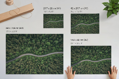 Wandposter mit Motiv eines Waldwegs