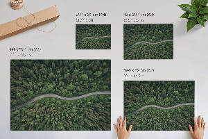 Wandposter mit Motiv eines Waldwegs