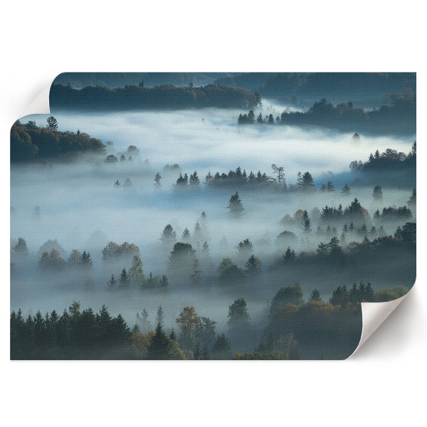 Poster mit Motiv "Neblige Natur"