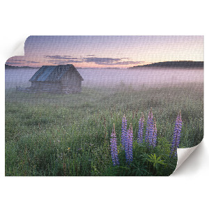 Poster Nebliger Morgen