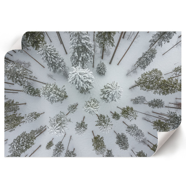 Wandposter mit Motiv Winterwald