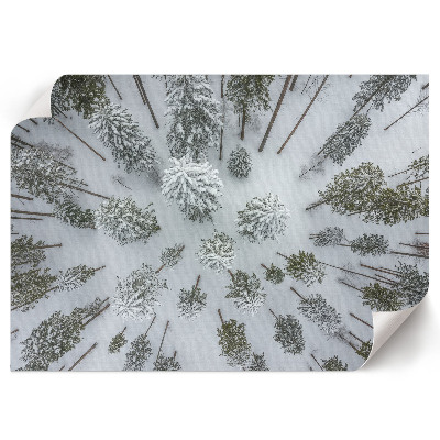 Wandposter mit Motiv Winterwald