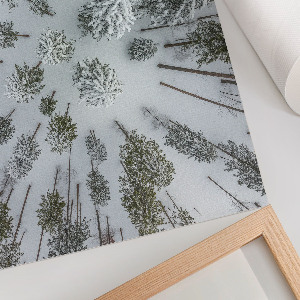Wandposter mit Motiv Winterwald