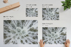 Wandposter mit Motiv Winterwald