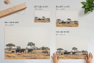 Wandposter mit Motiv der afrikanischen Savanne