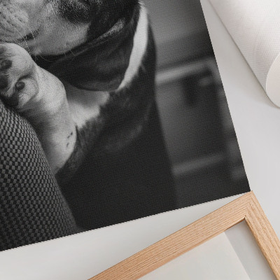 Poster mit Druck eines schlafenden Hundes