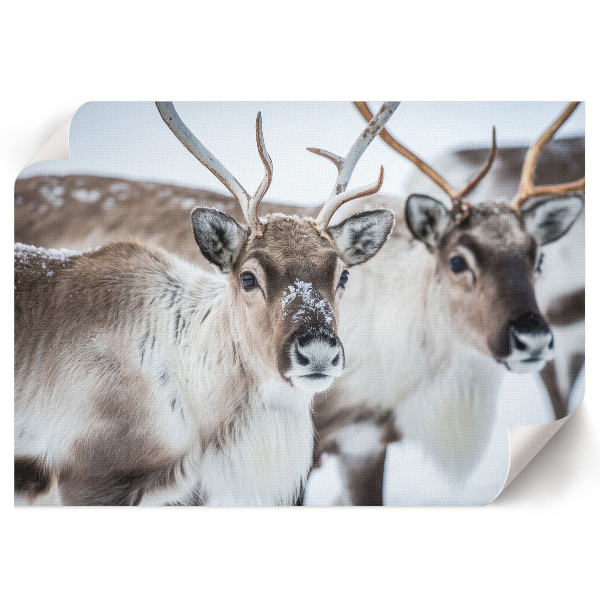 Poster mit Rentieren im Winter