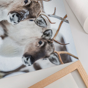 Poster mit Rentieren im Winter