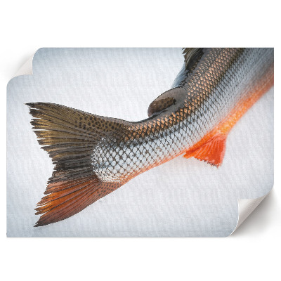 Plakat mit Fischschwanz-Motiv
