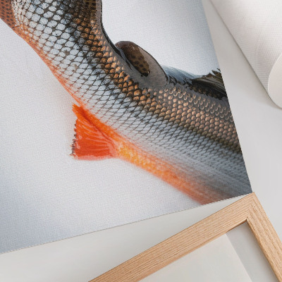 Plakat mit Fischschwanz-Motiv