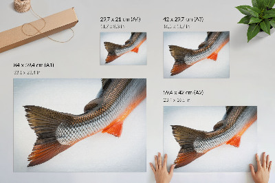 Plakat mit Fischschwanz-Motiv