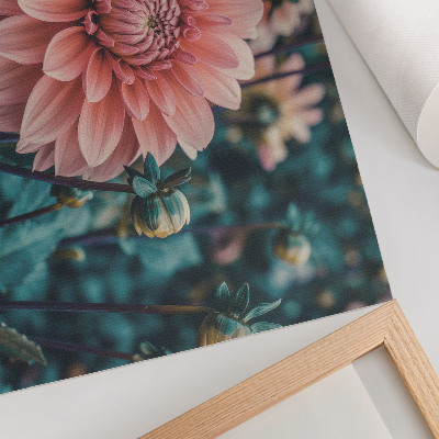 Poster mit Motiv rosa Dahlie