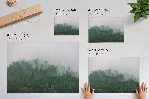 Poster Waldnebel