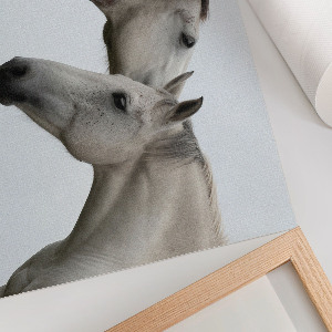 Poster bilder Pferdeeleganz