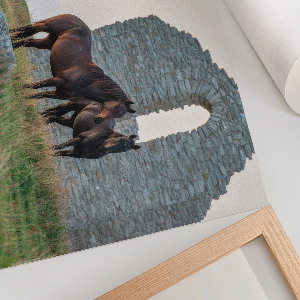 Poster Pferde und Natur