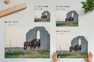 Poster Pferde und Natur