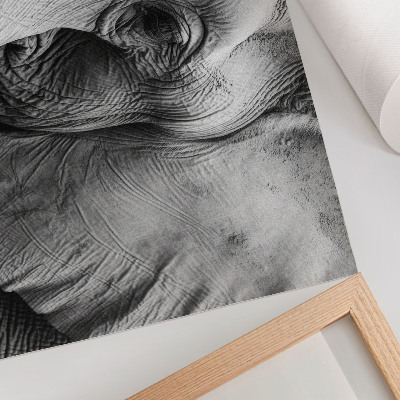 Plakat mit Elefanten-Details