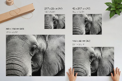 Plakat mit Elefanten-Details