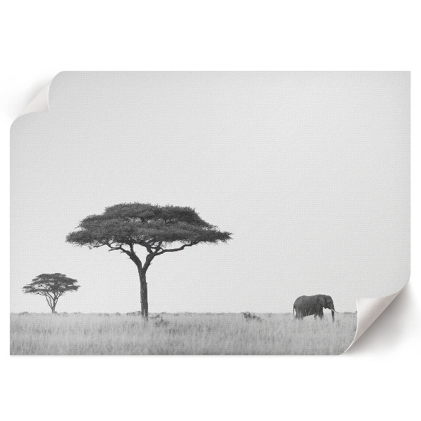 Wandposter Afrikanische Savanne