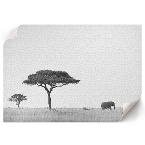 Wandposter Afrikanische Savanne