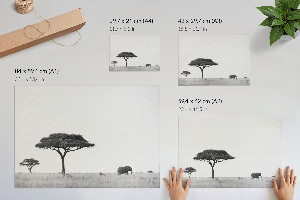 Wandposter Afrikanische Savanne