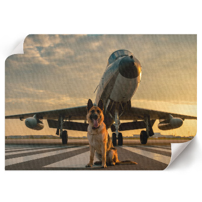 Poster mit Motiv 'Der Hund und das Flugzeug'