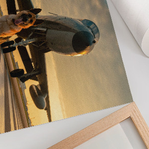 Poster bilder Der Hund und das Flugzeug