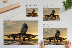 Poster bilder Der Hund und das Flugzeug