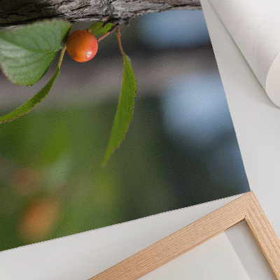 Wandposter mit dem Motiv Früchte an einem Zweig