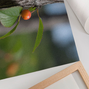 Wandposter Früchte an einem Zweig