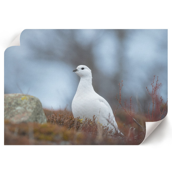 Poster druck Winterlandschaft